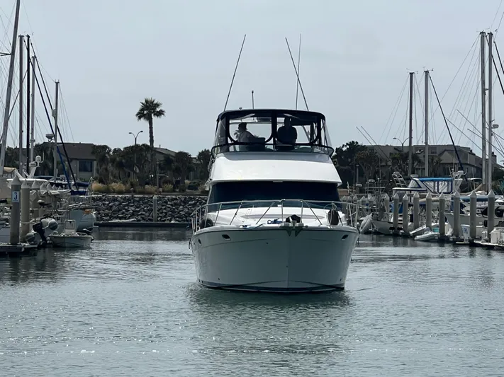  Yacht Photos Pics 1999 Bayliner 3988 Command Bridge Motoryacht docked in a marina, surrounded by sailboats.