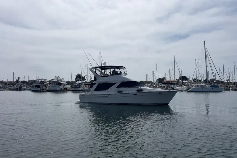  Yacht Photos Pics 1999 Bayliner 3988 Command Bridge Motoryacht docked in a marina, surrounded by sailboats.