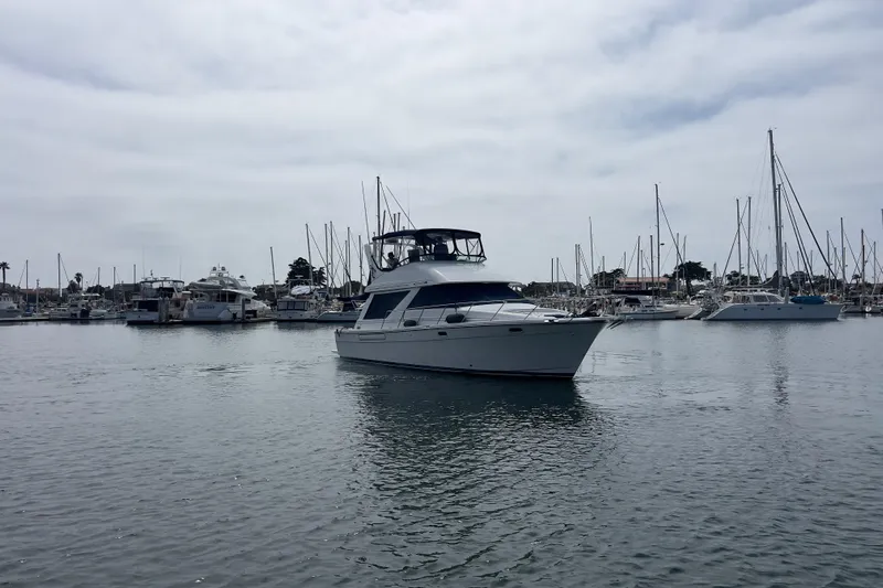  Yacht Photos Pics 1999 Bayliner 3988 Command Bridge Motoryacht docked in a marina, surrounded by sailboats.