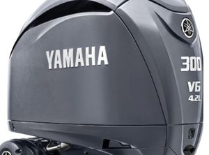 2023 Yamaha F300 B