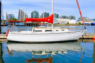 Schock Santana 28