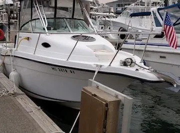 Seaswirl Striper 2601 Walkaround I/O