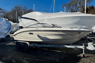 Sea Ray SPX 190 Outboard