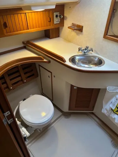 Petrel Yacht Photos Pics 