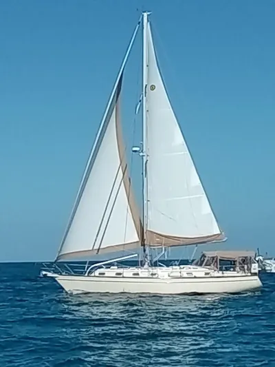 Petrel Yacht Photos Pics 