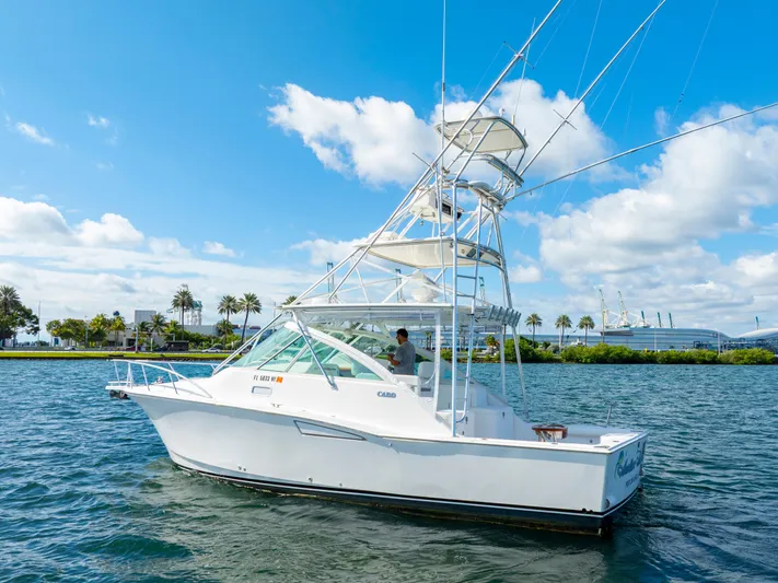  Yacht Photos Pics 2004 CABO 35 EXPRESS - Image 2