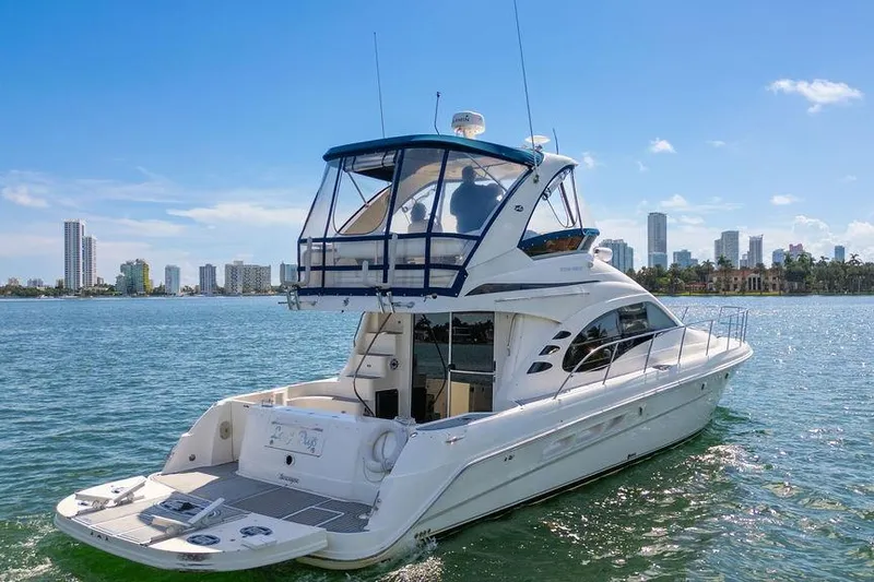 Lazy Days Yacht Photos Pics 2009 Sea Ray 44 Sedan Bridge yacht cruising near city skyline on a sunny day.