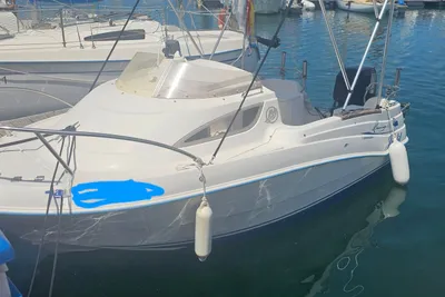 2007 Quicksilver 430 Flamingo