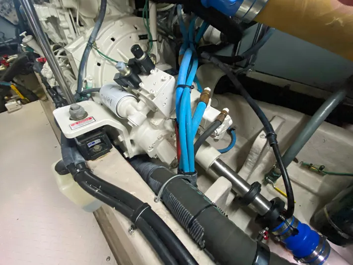 Rruff In It Yacht Photos Pics 