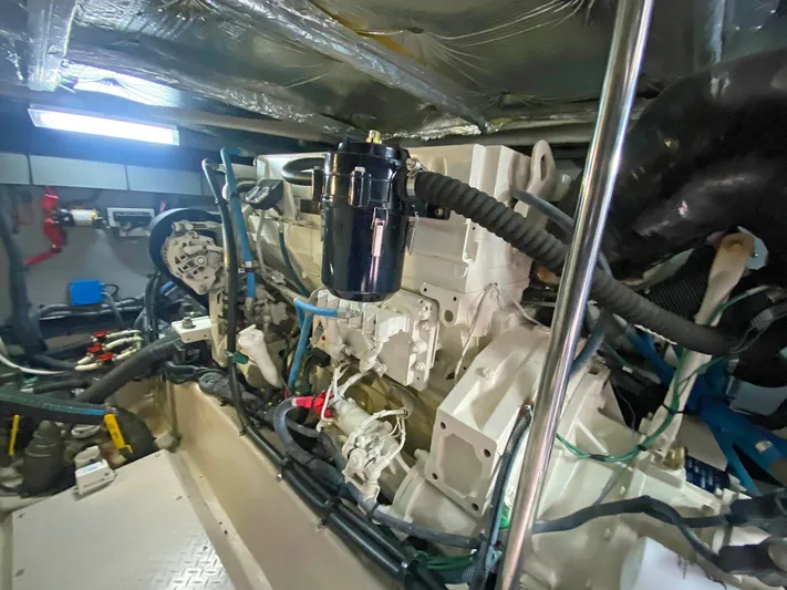 Rruff In It Yacht Photos Pics 