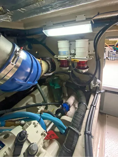 Rruff In It Yacht Photos Pics 