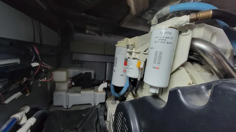 Rruff In It Yacht Photos Pics 