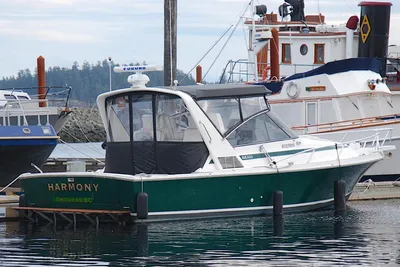Blackfin 33 Combi REPOWERED