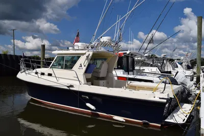 Albin 28 Tournament Express
