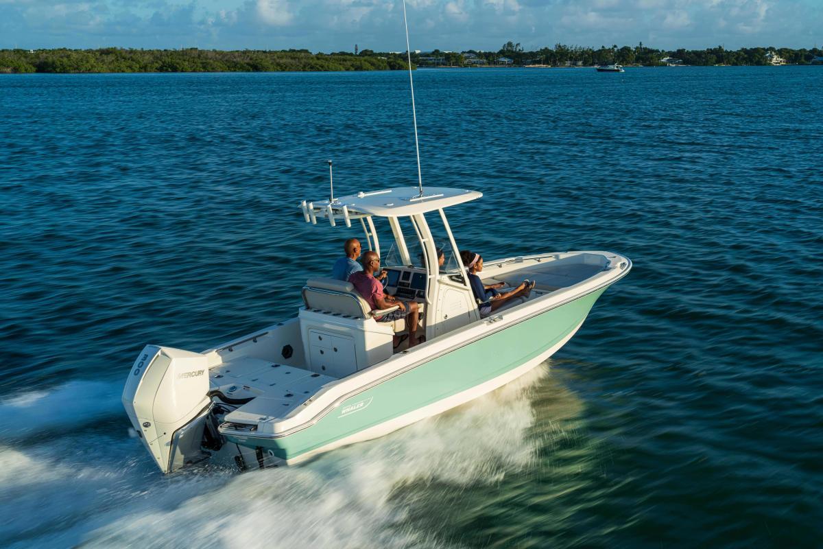 New Boston Whaler 250 Dauntless in 83 - Var - iNautia