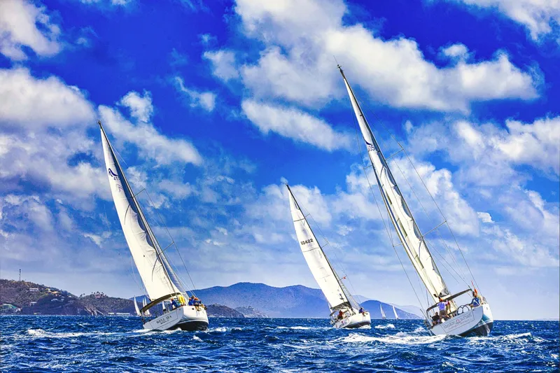 Avalon Sunset Yacht Photos Pics Sailboats racing on the ocean under a vibrant blue sky, featuring a 2016 Hanse 505.