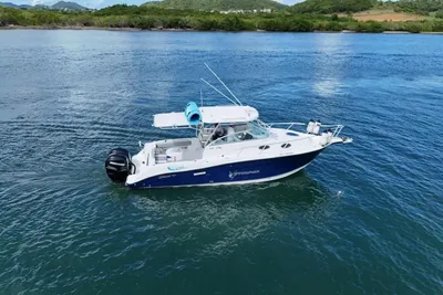 Striper Seaswirl 2901