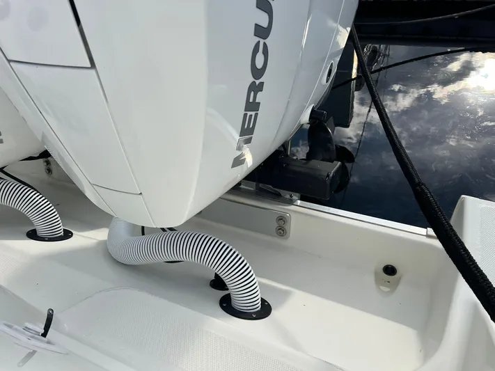 Gyn Tonic Yacht Photos Pics 