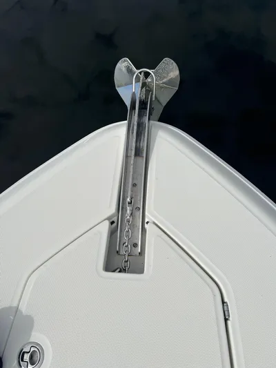 Gyn Tonic Yacht Photos Pics 