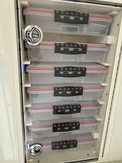 Gyn Tonic Yacht Photos Pics 