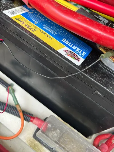 Gyn Tonic Yacht Photos Pics 