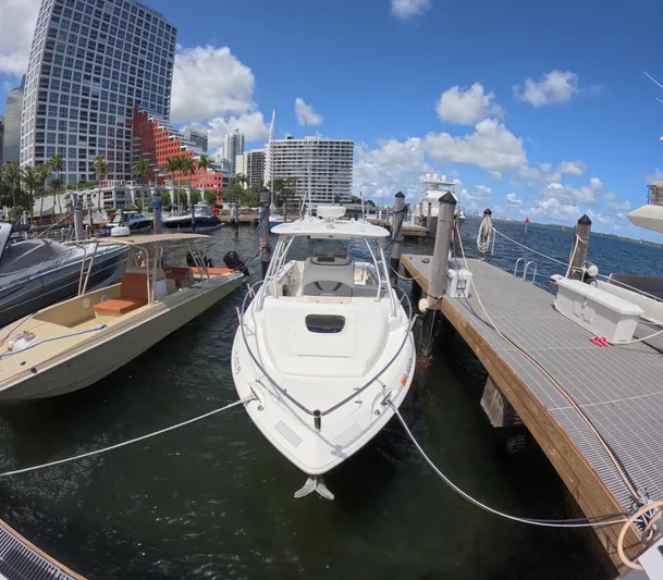  Yacht Photos Pics 