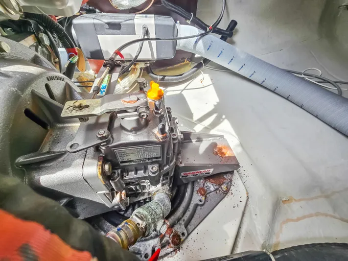 Le Tigre Yacht Photos Pics 