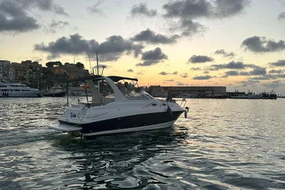 2006 Larson Cabrio 260