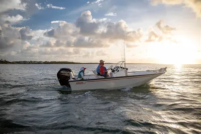 Boston Whaler 170 Montauk