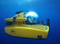 2018 Triton Submarine 1650/3LP