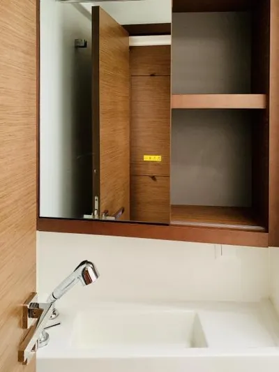 Unicorn Yacht Photos Pics Modern bathroom vanity with mirror and open cabinet in 2019 Lagoon 40 yacht.