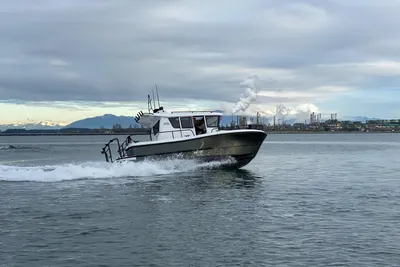 Sargo 25