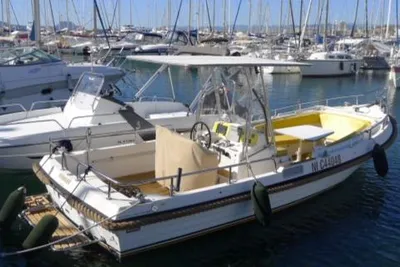 2000 Bellus Bellus 750