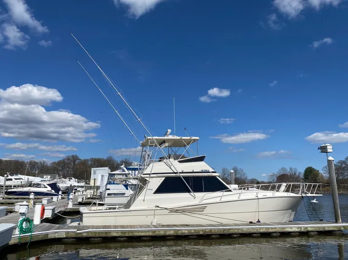 Rumblefish 4.0 Yacht Photos Pics 
