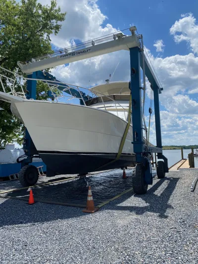 Rumblefish 4.0 Yacht Photos Pics 