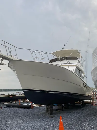 Rumblefish 4.0 Yacht Photos Pics 