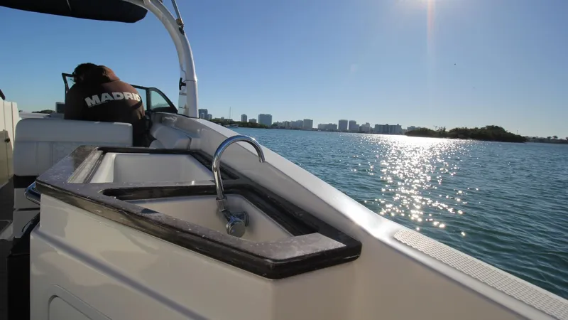 Finding Dori Yacht Photos Pics 2017 Sea Ray SDX 290 Outboard boat with sink, cruising on sunny waters.