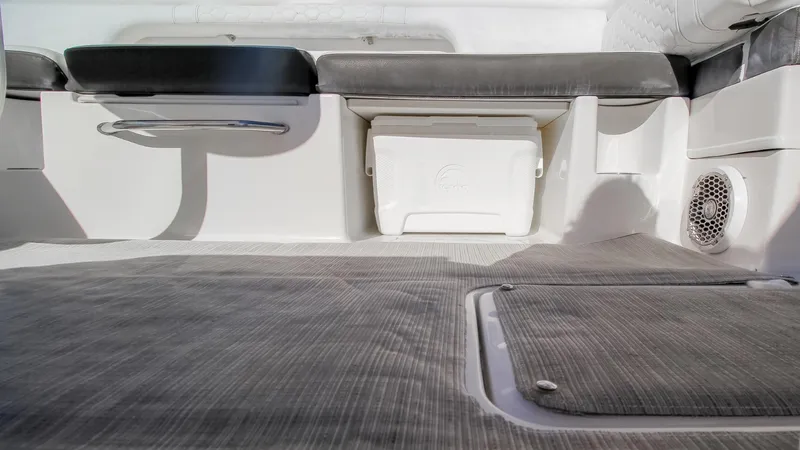 Finding Dori Yacht Photos Pics Interior view of 2017 Sea Ray SDX 290 Outboard boat with seating and storage.