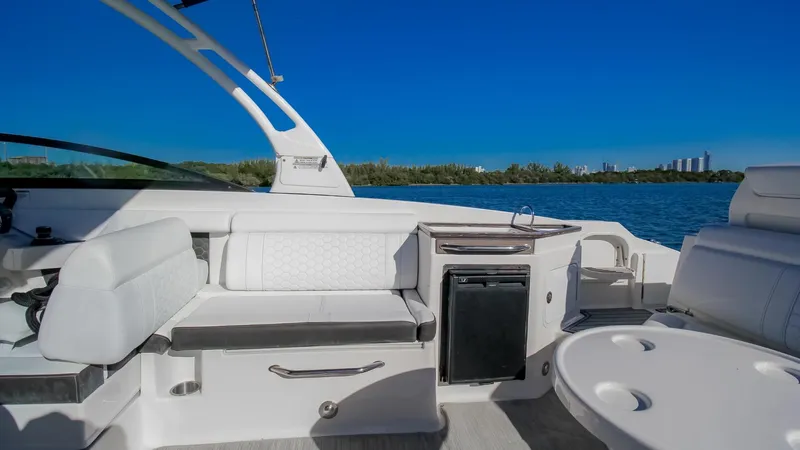 Finding Dori Yacht Photos Pics 2017 Sea Ray SDX 290 Outboard interior with seating, table, and mini fridge on a sunny day.