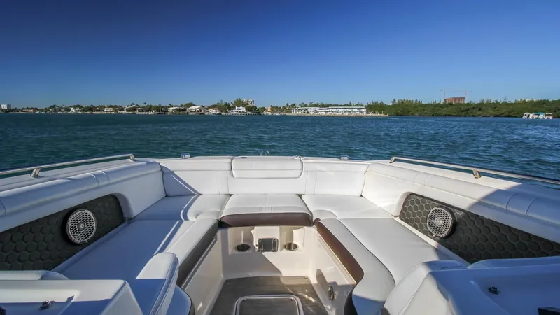 Finding Dori Yacht Photos Pics 2017 Sea Ray SDX 290 Outboard boat interior with spacious seating on calm water.