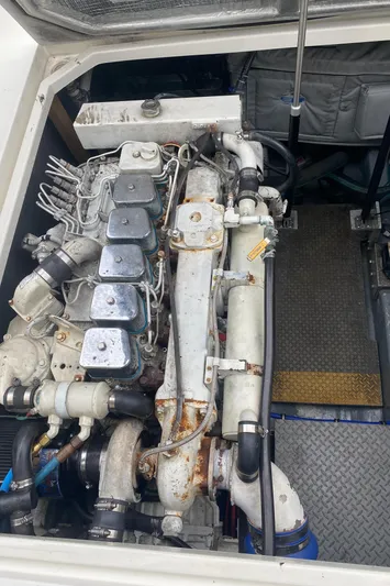 Paddy Wagon Yacht Photos Pics 