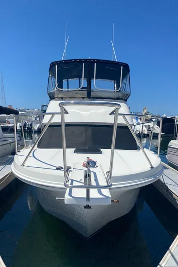 Paddy Wagon Yacht Photos Pics 