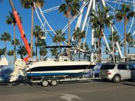 2015 Marino Aphrodite 650