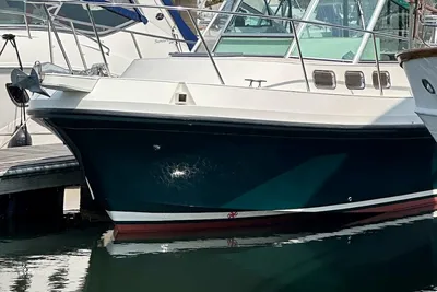 Albin 28