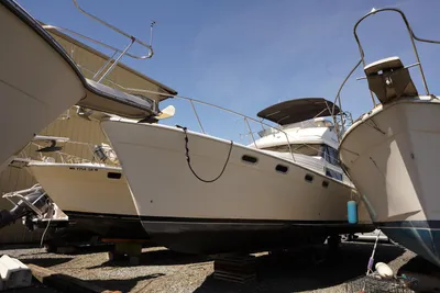 Bayliner 3888 Motoryacht