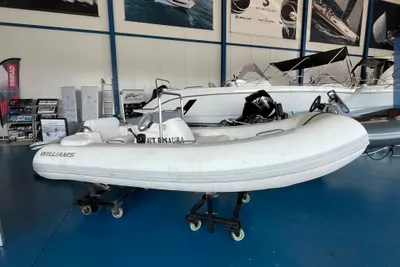 2012 Williams Jet Tenders Turbojet 325