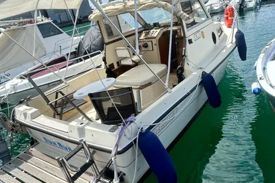 1989 Custom TECNOFIBER ALMA