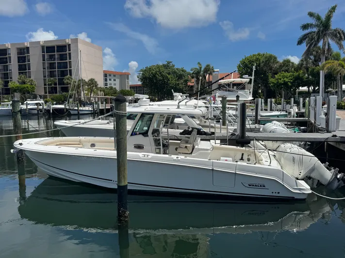  Yacht Photos Pics 2016 Boston Whaler 330 Outrage docked at marina, surrounded by palm trees and buildings.