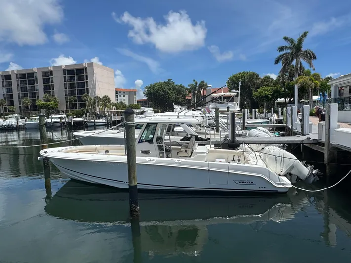  Yacht Photos Pics 2016 Boston Whaler 330 Outrage docked at a marina under a clear blue sky.