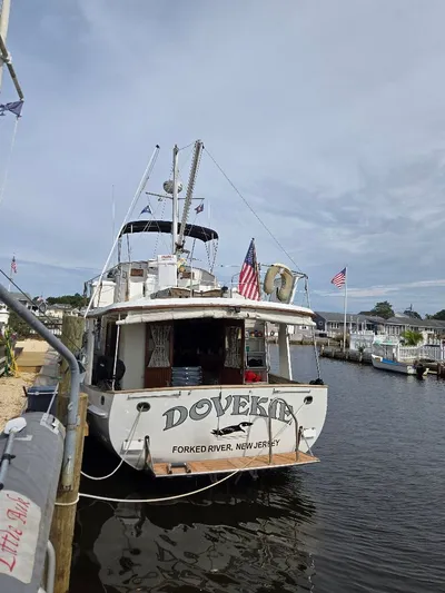 Dovekie Yacht Photos Pics 